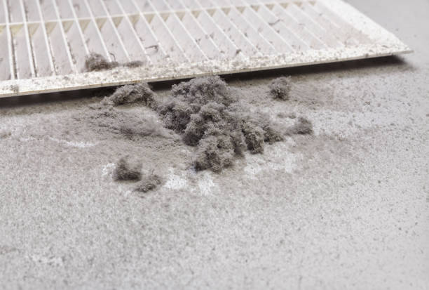 Best Affordable HVAC Duct Cleaning  in Mayfield Heights, OH