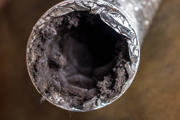 Best Air Duct Cleaning Cost  in Mayfield Heights, OH