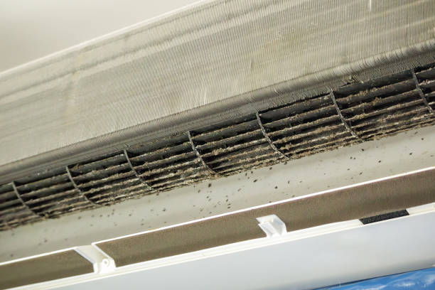 Best Air Duct Cleaning Company Near Me  in Mayfield Heights, OH